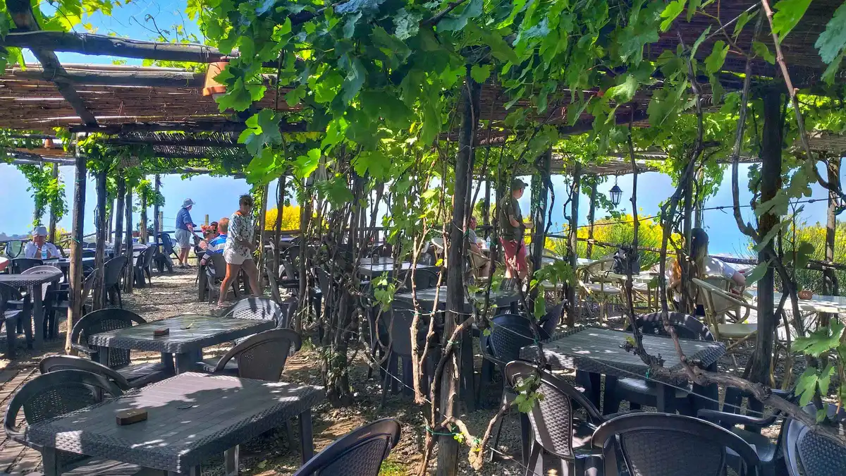 From Sorrento: Mount Vesuvius Tour with Lunch & Wine Tasting listing photo for Vesuvius tour from Sorrento, Sorrento